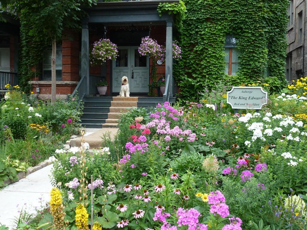 Auberge King Edward Bed And Breakfast Ottawa Dış mekan fotoğraf