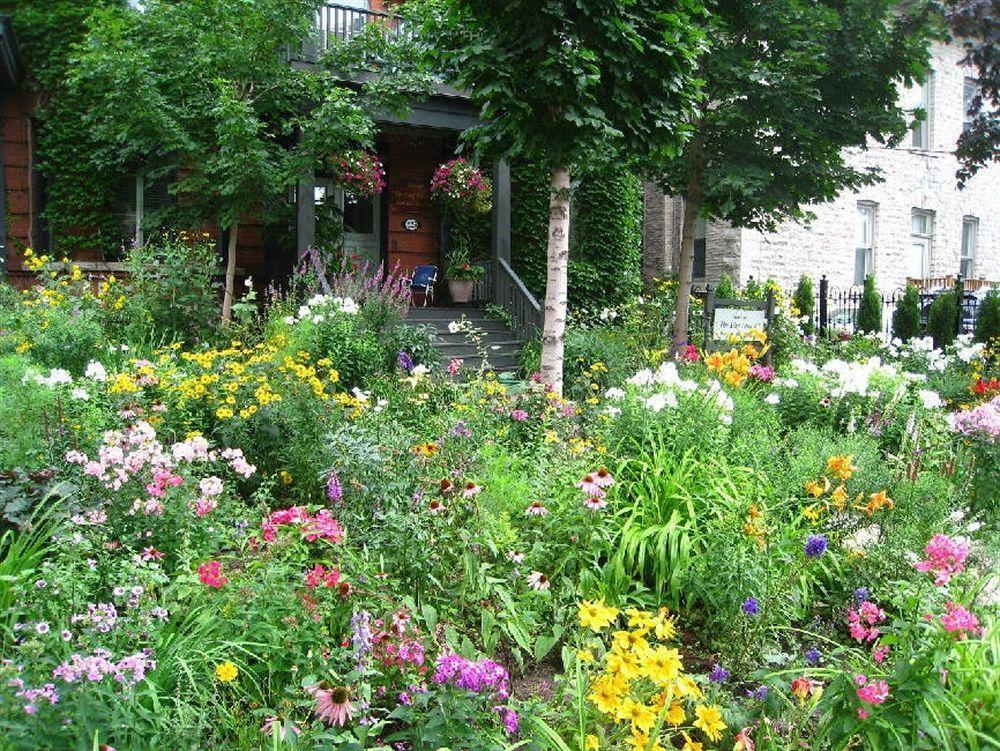 Auberge King Edward Bed And Breakfast Ottawa Dış mekan fotoğraf